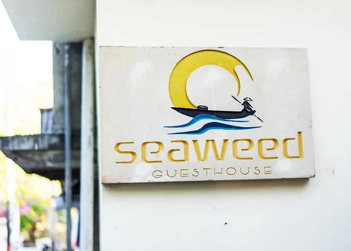 Seaweed Guesthouse